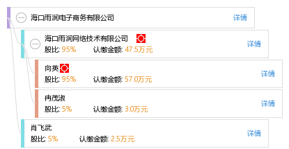 海口雨潤電子商務 一家海口網絡技術企業的創新實踐
